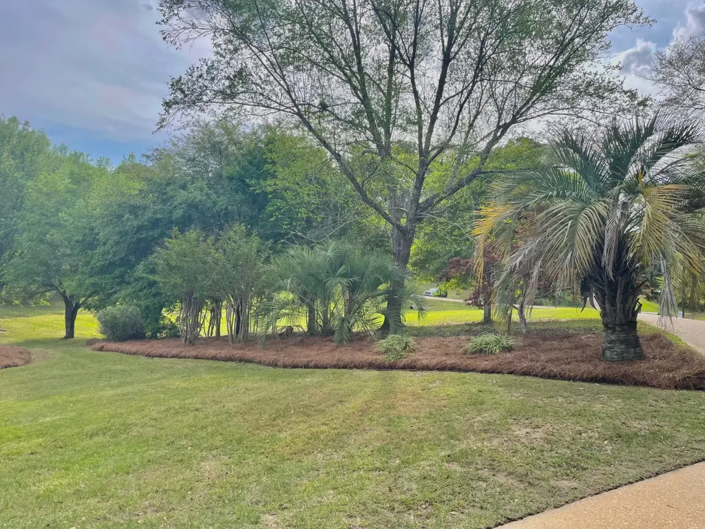 115 5th Avenue Grove Hill AL 36451