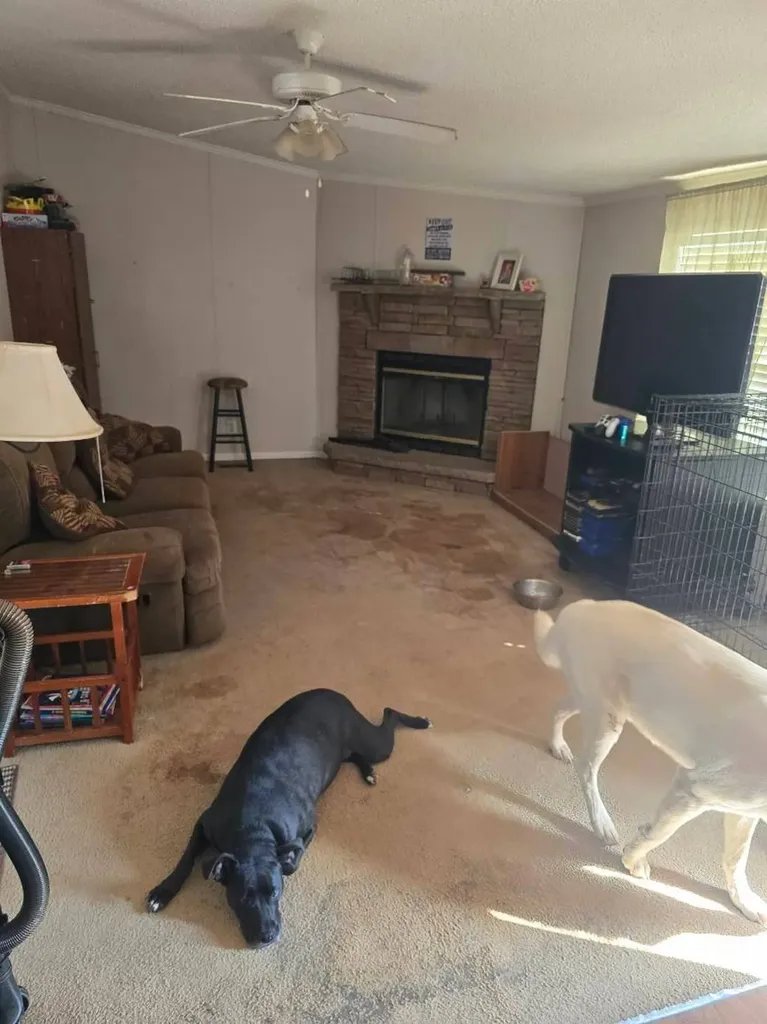 929 Marvel Road Brierfield AL 35035