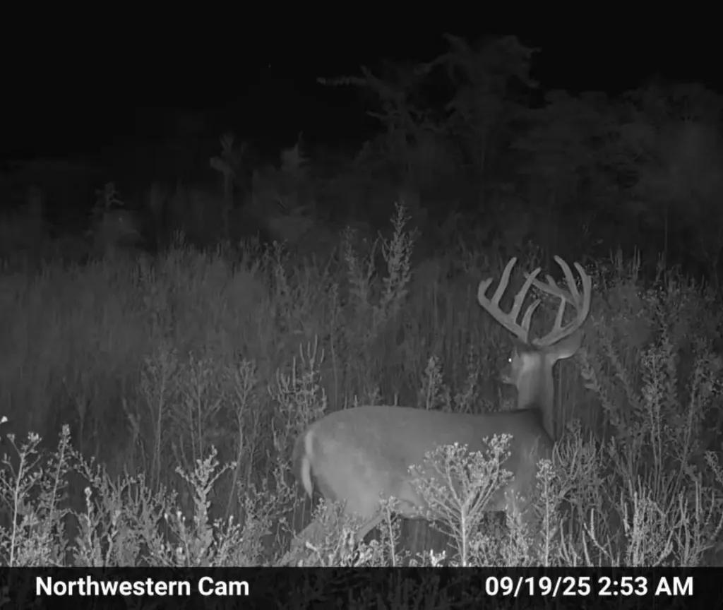 0 Private Road 2401 Goshen AL 36035