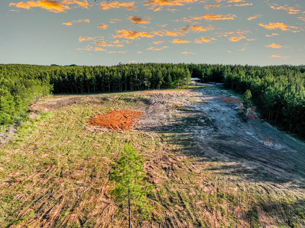 0 Private Road 2401 Goshen AL 36035