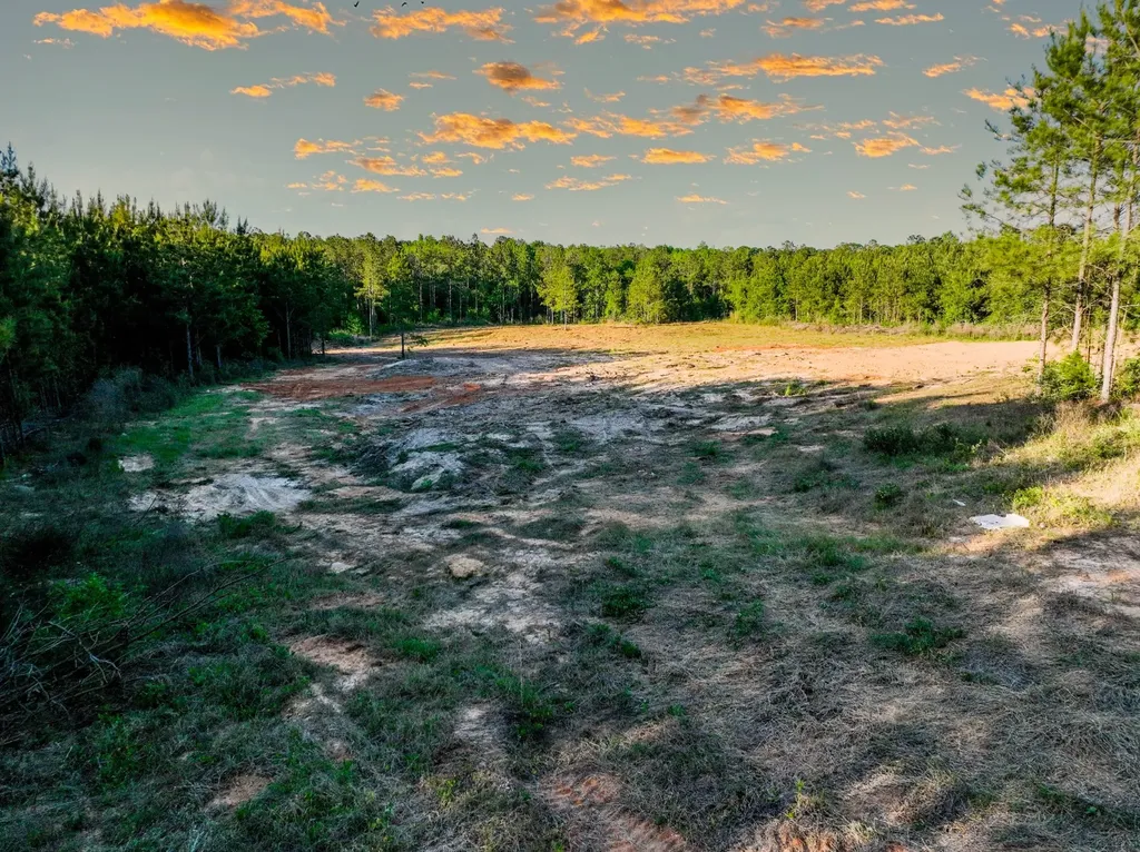 0 Private Road 2401 Goshen AL 36035