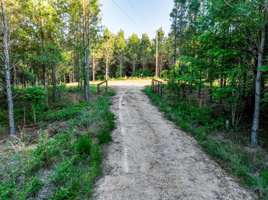 0 Private Road 2401 Goshen AL 36035