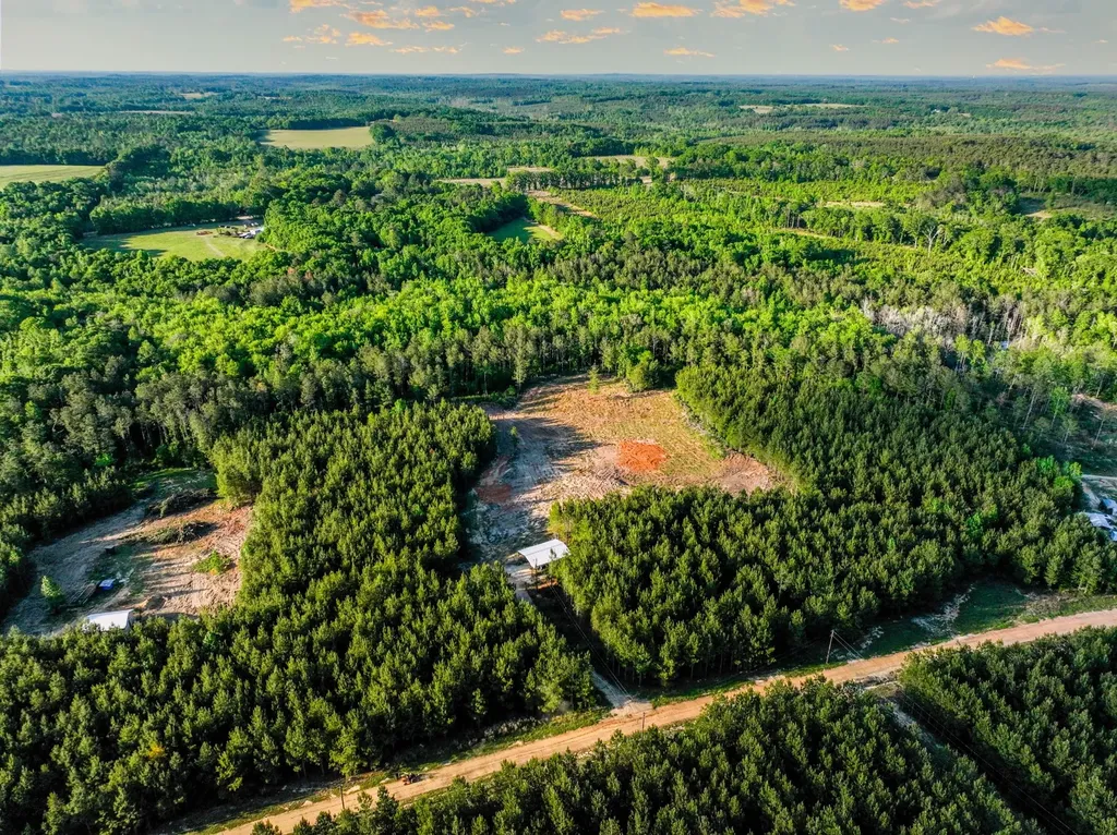 0 Private Road 2401 Goshen AL 36035