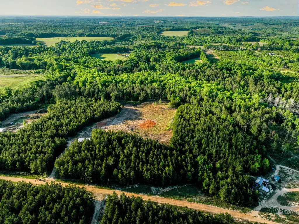 0 Private Road 2401 Goshen AL 36035