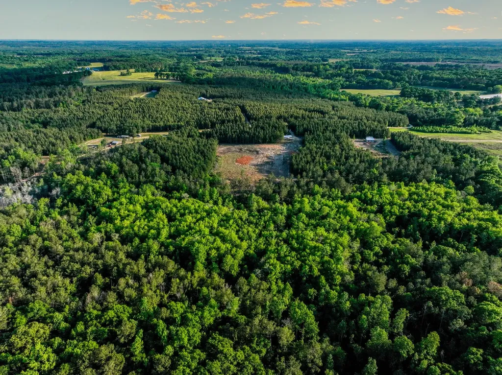 0 Private Road 2401 Goshen AL 36035