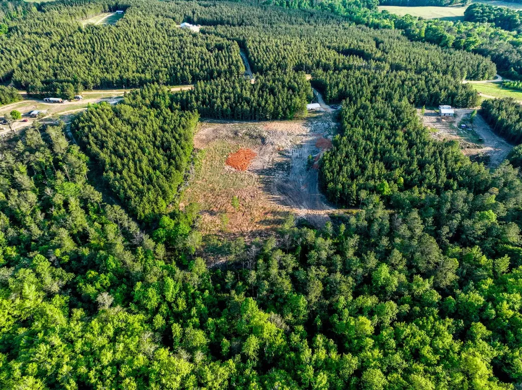 0 Private Road 2401 Goshen AL 36035