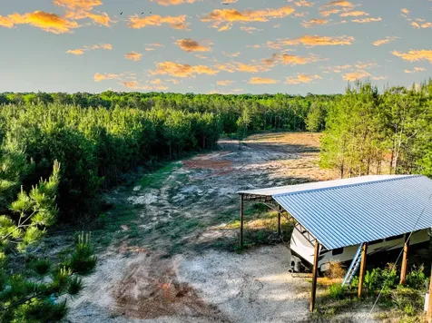 0 Private Road 2401 Goshen AL 36035