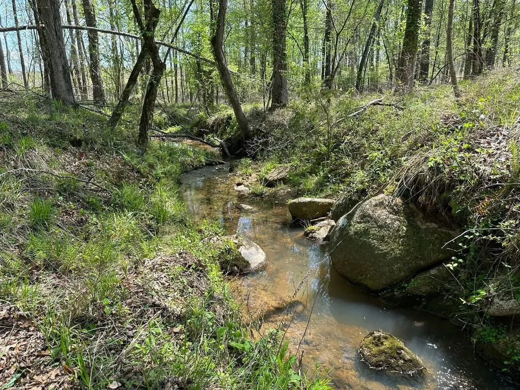 0 Coosa County Road 45 Rockford AL 35136