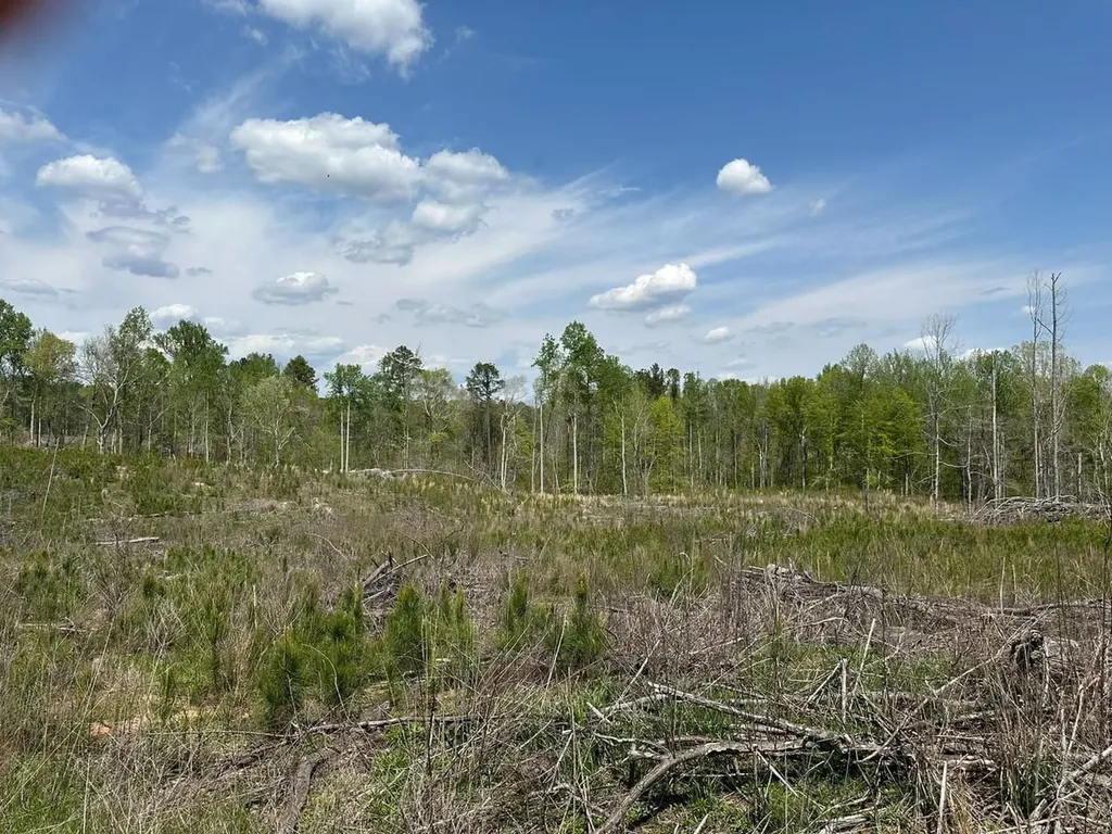 0 Coosa County Road 45 Rockford AL 35136
