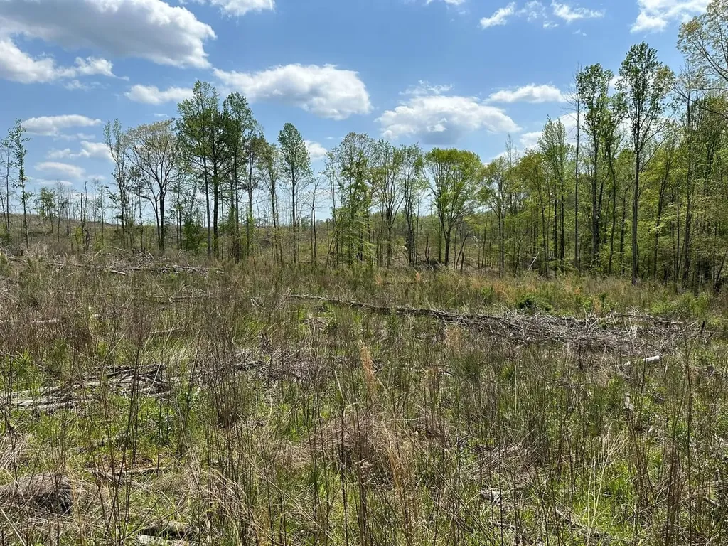 0 Coosa County Road 45 Rockford AL 35136