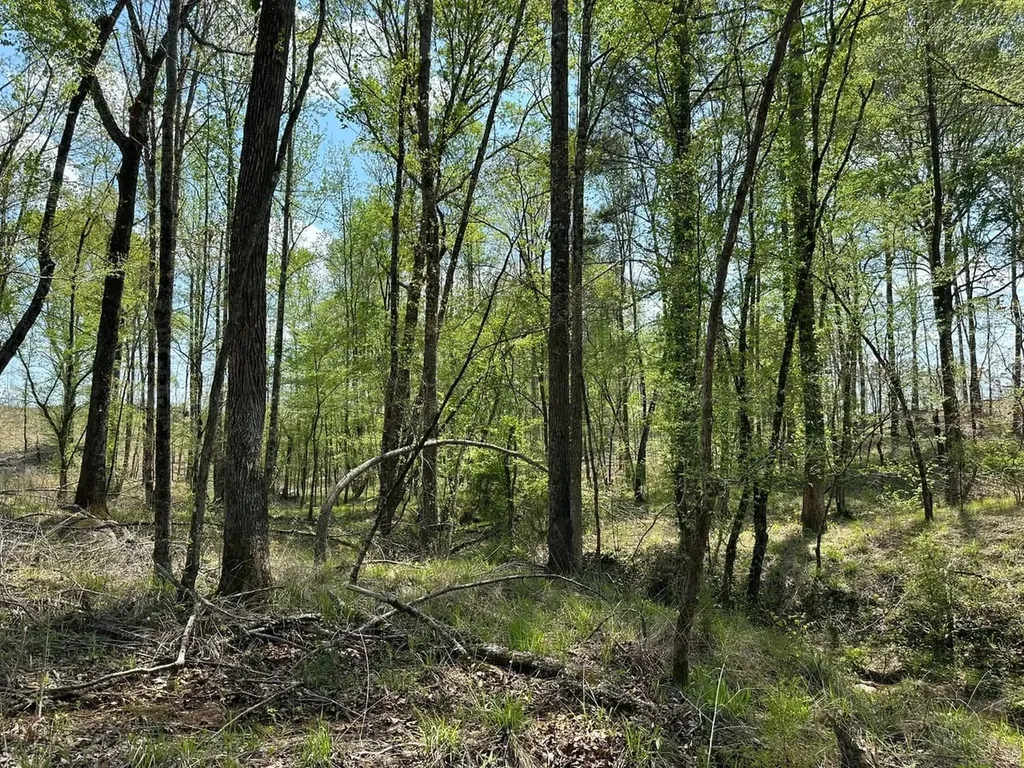 0 Coosa County Road 45 Rockford AL 35136