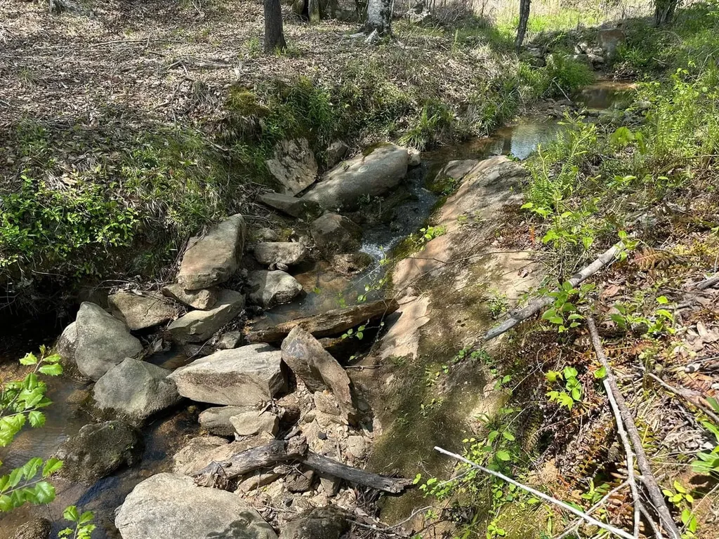0 Coosa County Road 45 Rockford AL 35136