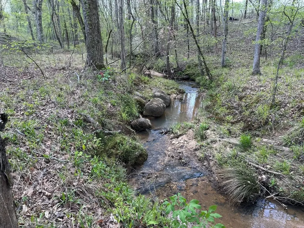 0 Coosa County Road 45 Rockford AL 35136