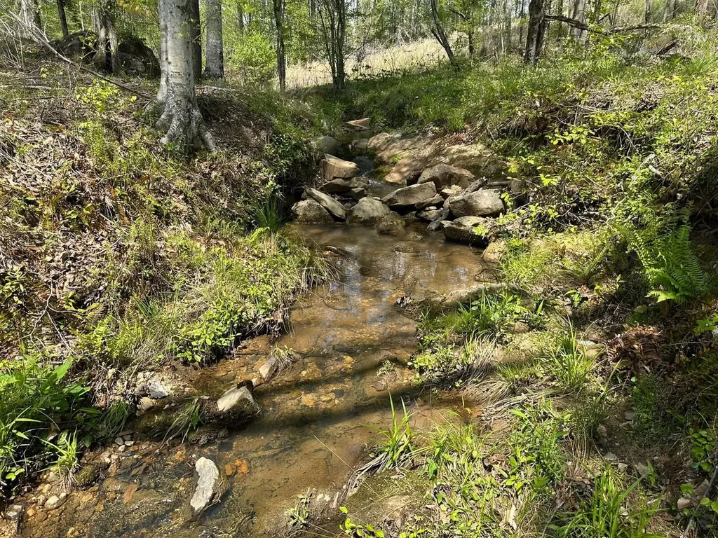 0 Coosa County Road 45 Rockford AL 35136