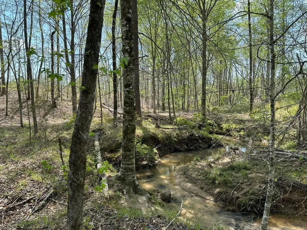 0 Coosa County Road 45 Rockford AL 35136