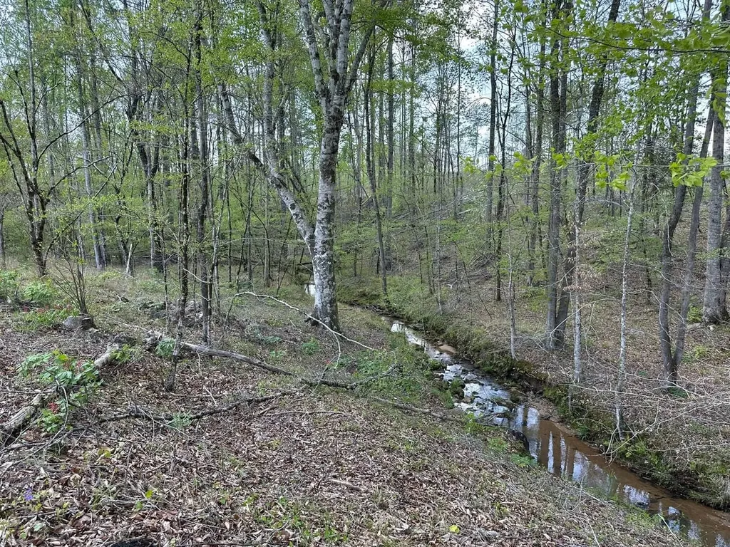 0 Coosa County Road 45 Rockford AL 35136