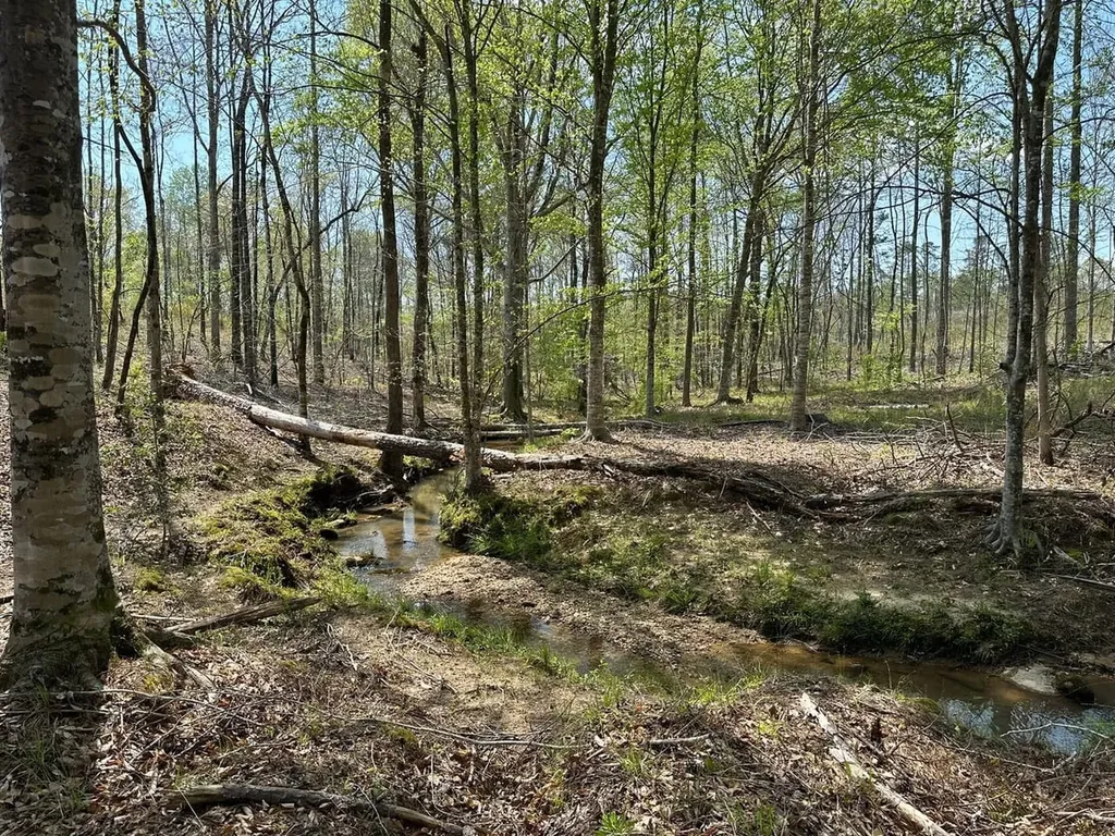 0 Coosa County Road 45 Rockford AL 35136