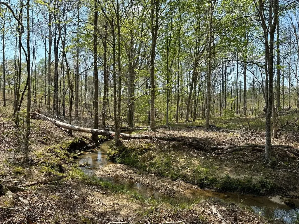 0 Coosa County Road 45 Rockford AL 35136
