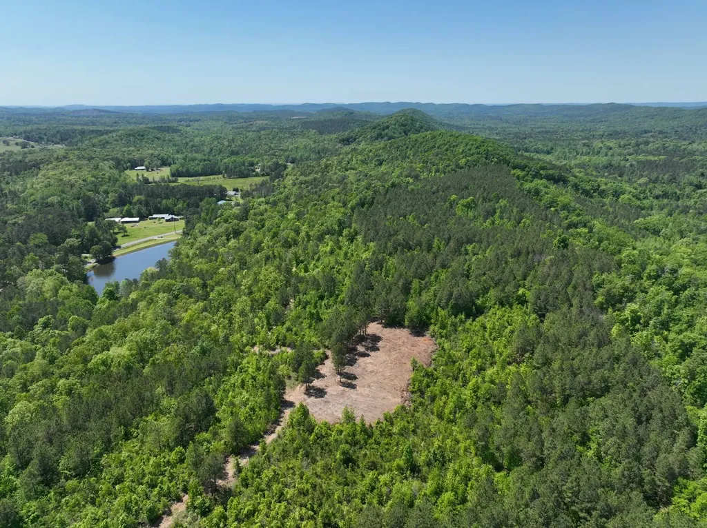0 Williams Road Piedmont AL 36265