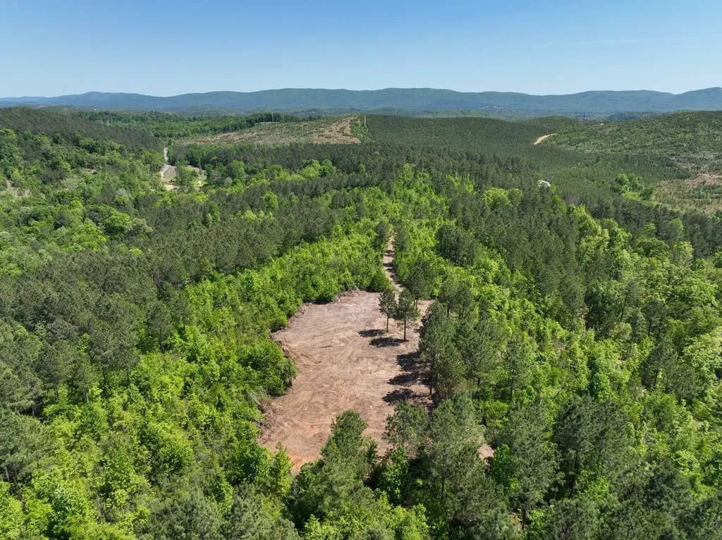 0 Williams Road Piedmont AL 36265
