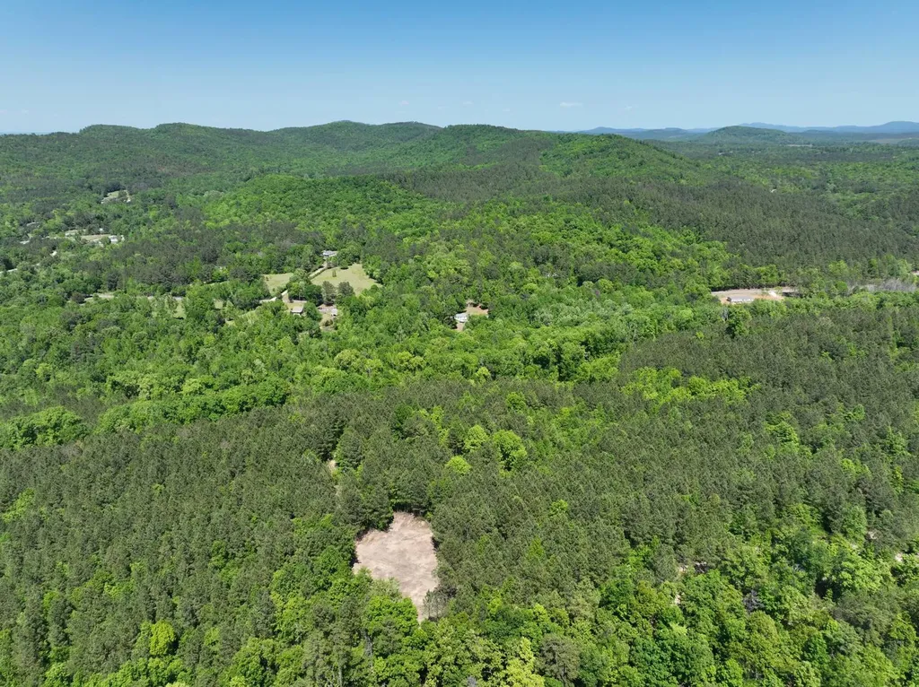 0 Williams Road Piedmont AL 36265