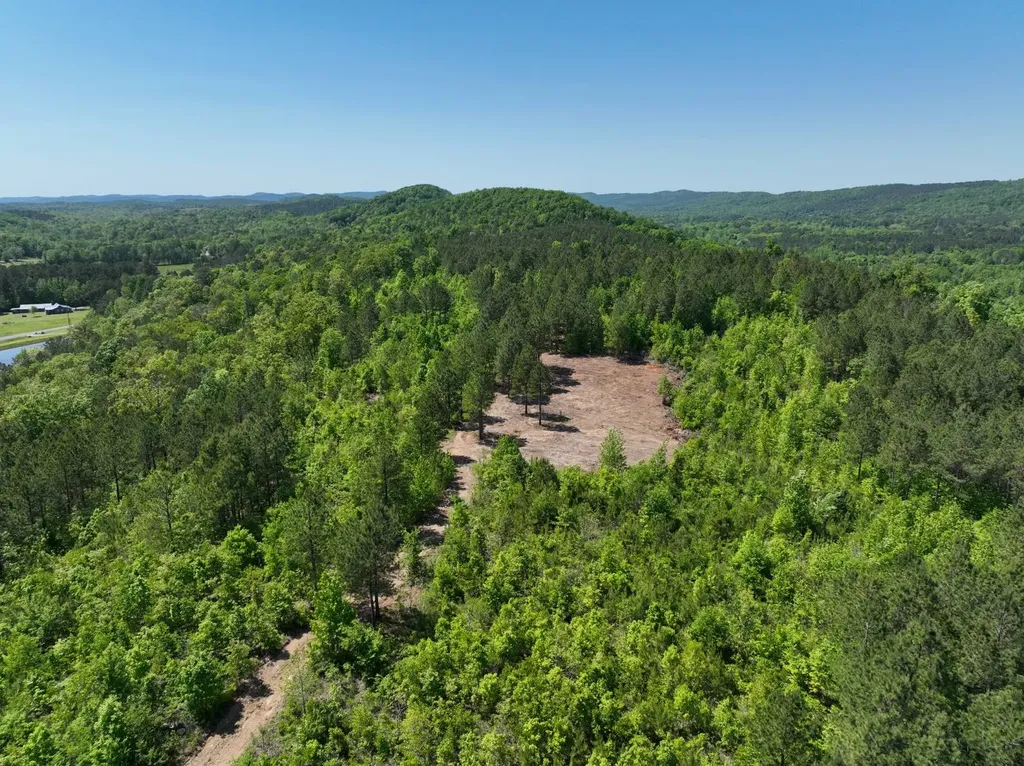 0 Williams Road Piedmont AL 36265