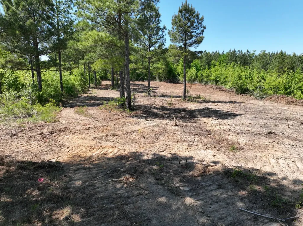 0 Williams Road Piedmont AL 36265