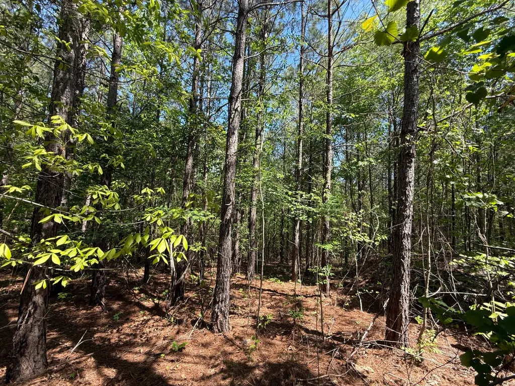 0 Williams Road Piedmont AL 36265