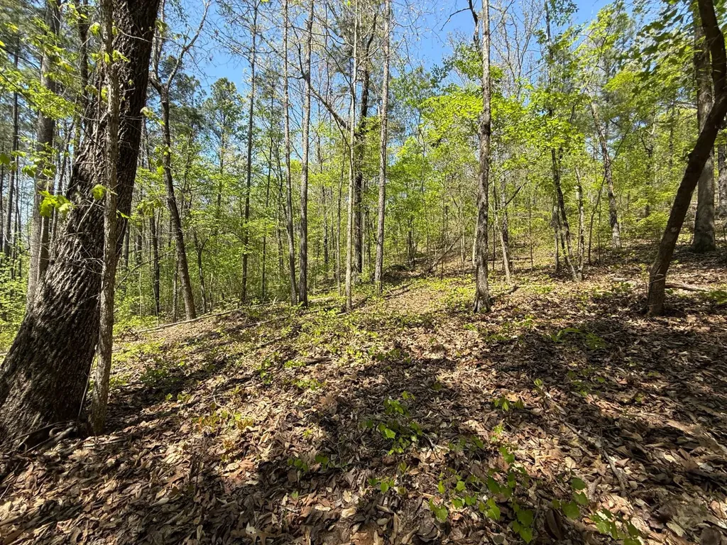 0 Williams Road Piedmont AL 36265