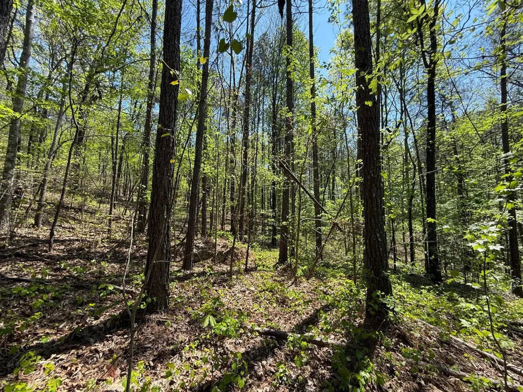 0 Williams Road Piedmont AL 36265