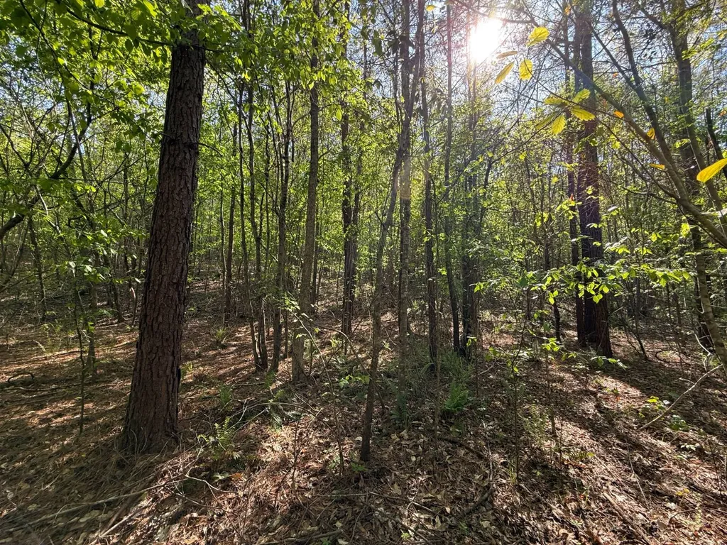 0 Williams Road Piedmont AL 36265