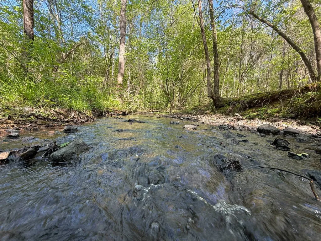 0 Williams Road Piedmont AL 36265