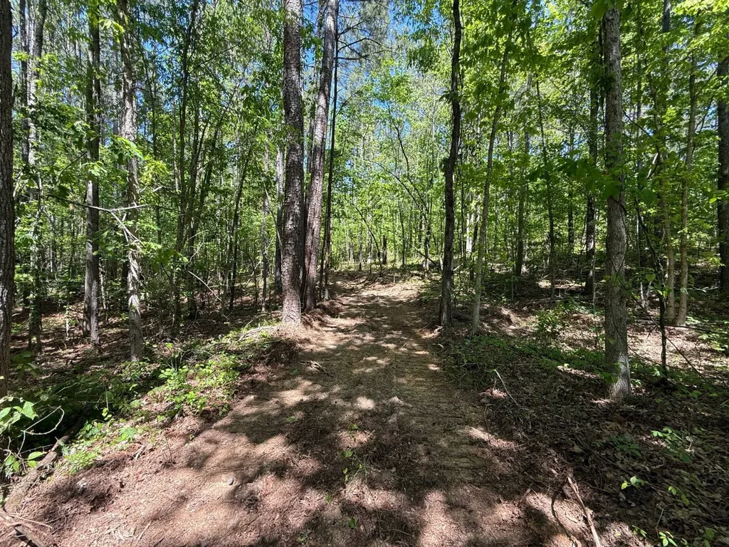 0 Williams Road Piedmont AL 36265