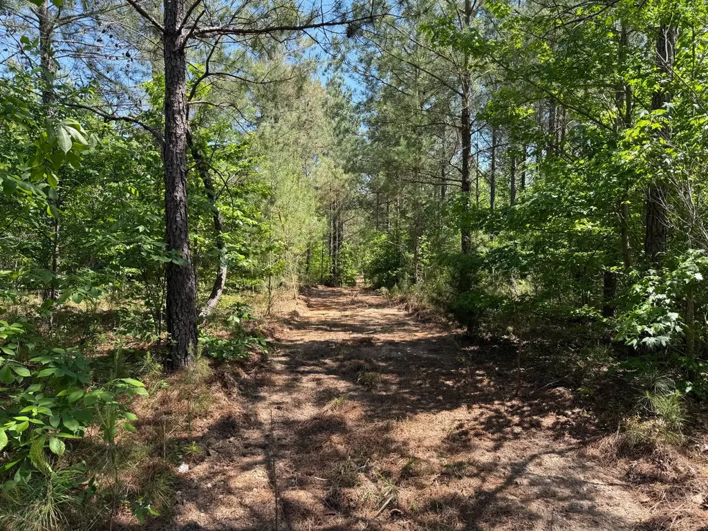 0 Williams Road Piedmont AL 36265