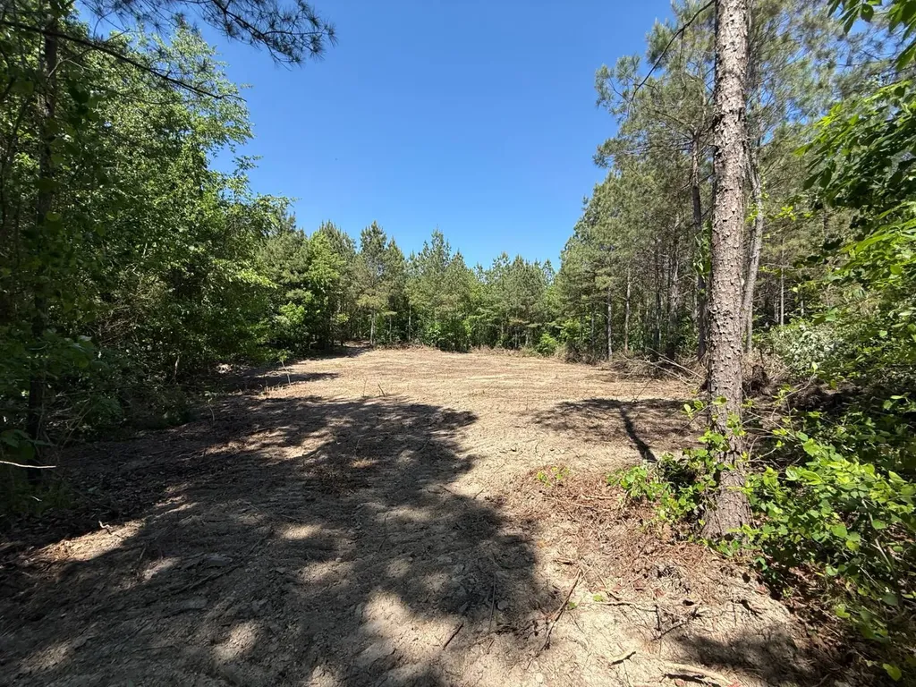 0 Williams Road Piedmont AL 36265