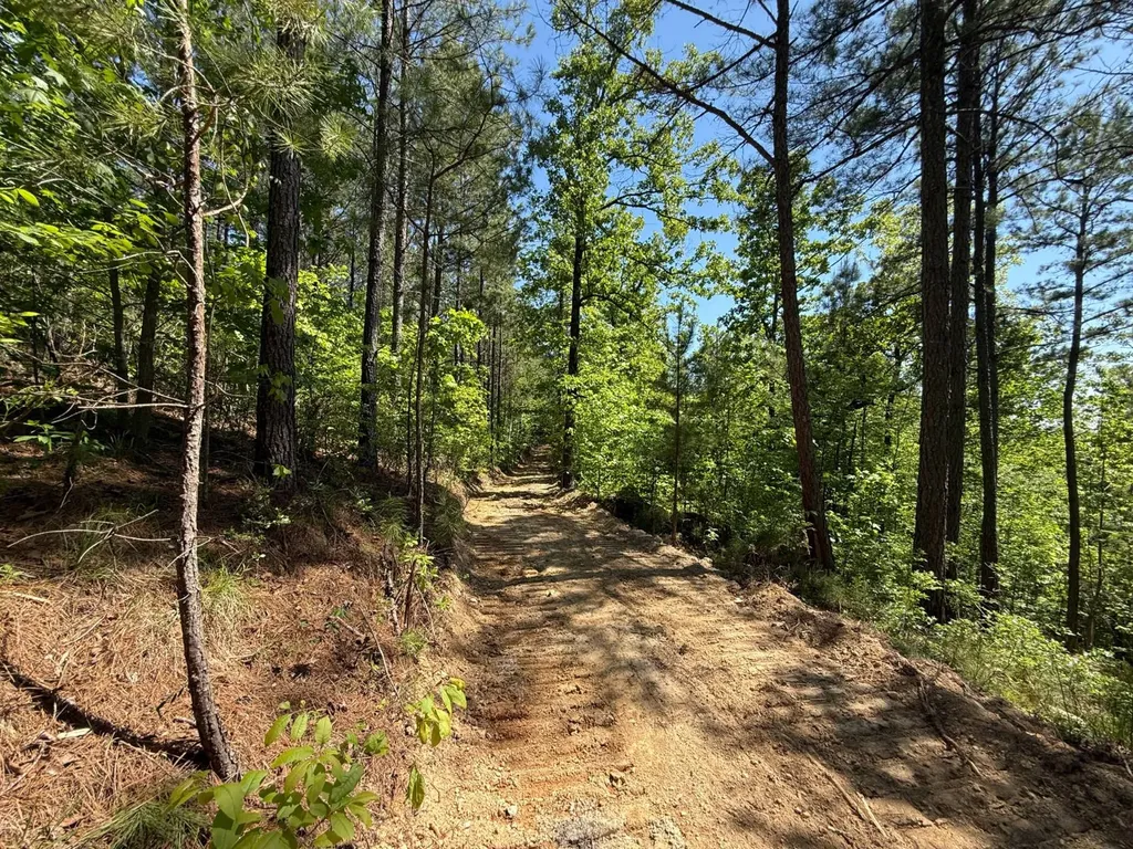0 Williams Road Piedmont AL 36265