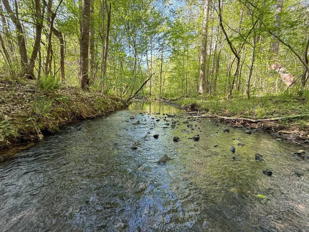 0 Williams Road Piedmont AL 36265