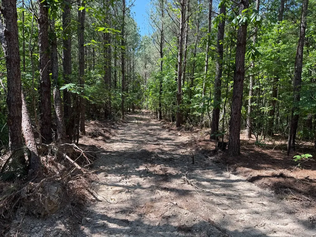 0 Williams Road Piedmont AL 36265