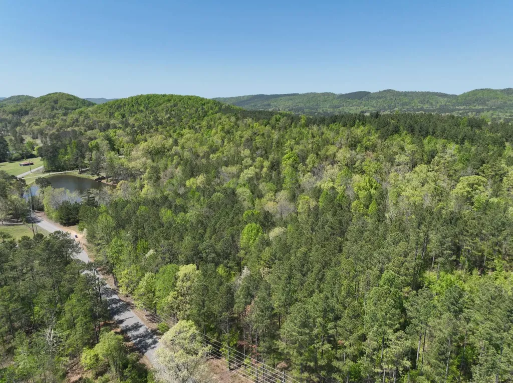 0 Williams Road Piedmont AL 36265