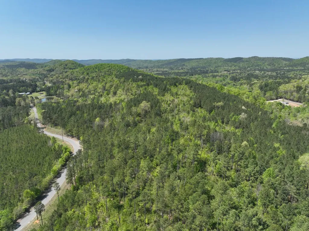 0 Williams Road Piedmont AL 36265