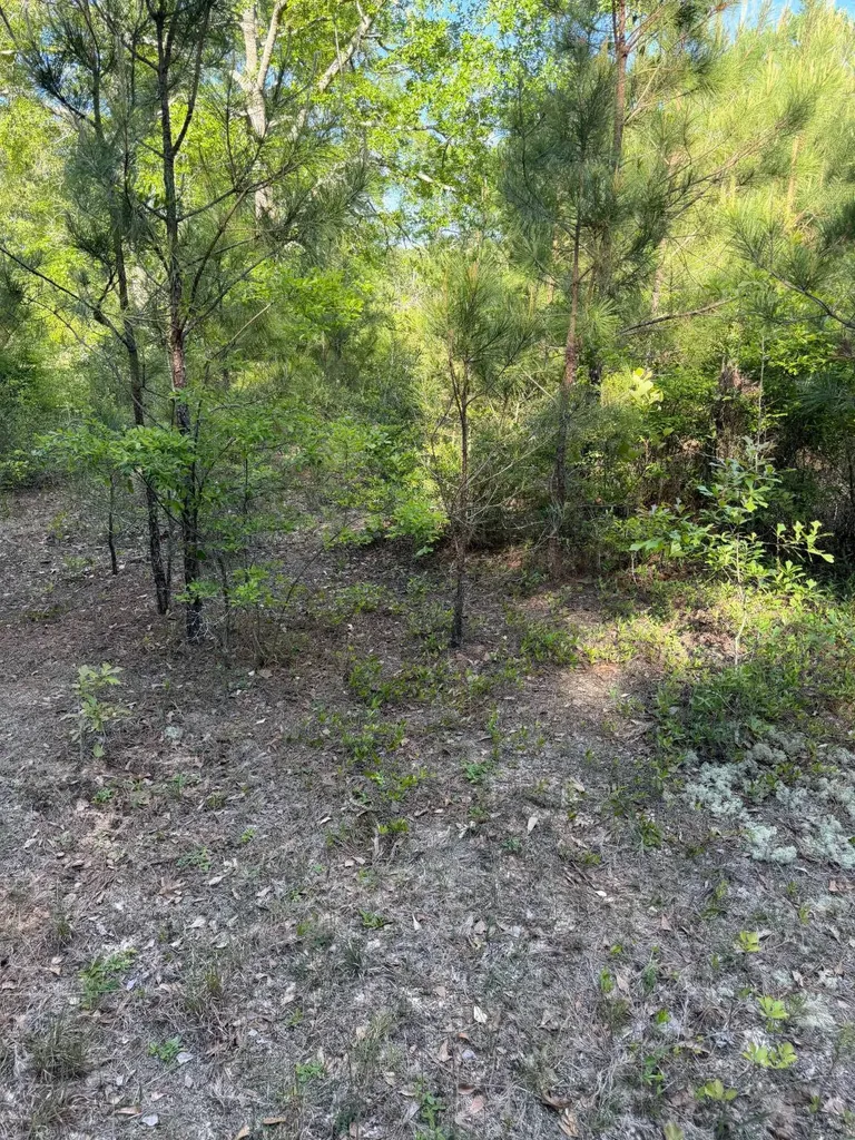 17794 Substation Road Opp AL 36467