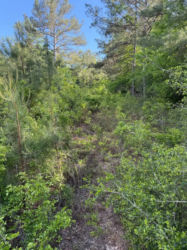 17794 Substation Road Opp AL 36467