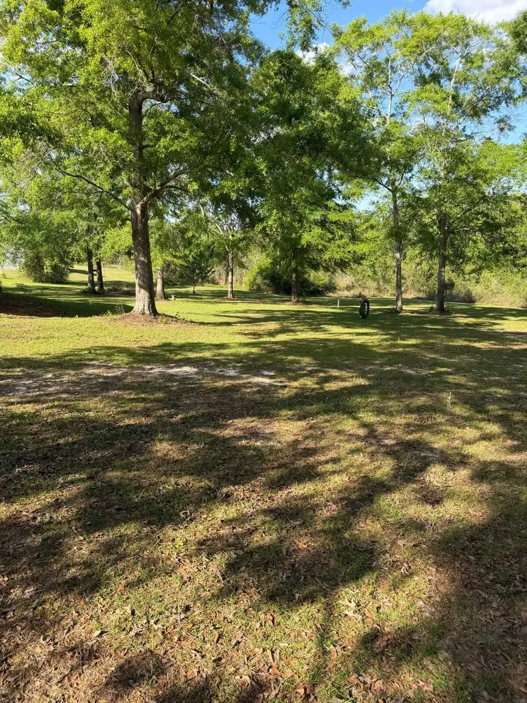 17794 Substation Road Opp AL 36467