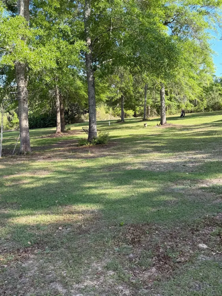 17794 Substation Road Opp AL 36467