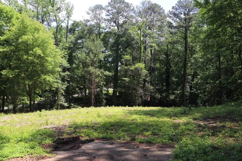 5005 Northwood Lake Drive East Northport AL 35473