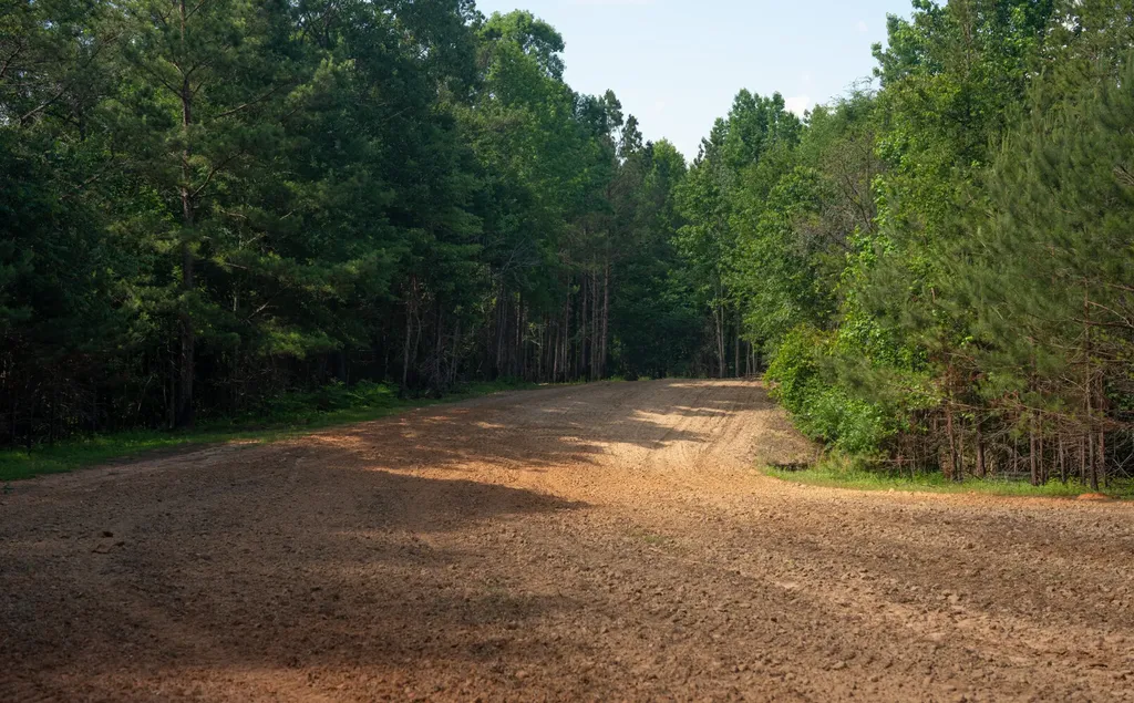 8830 County Road 57 Abbeville AL 36310