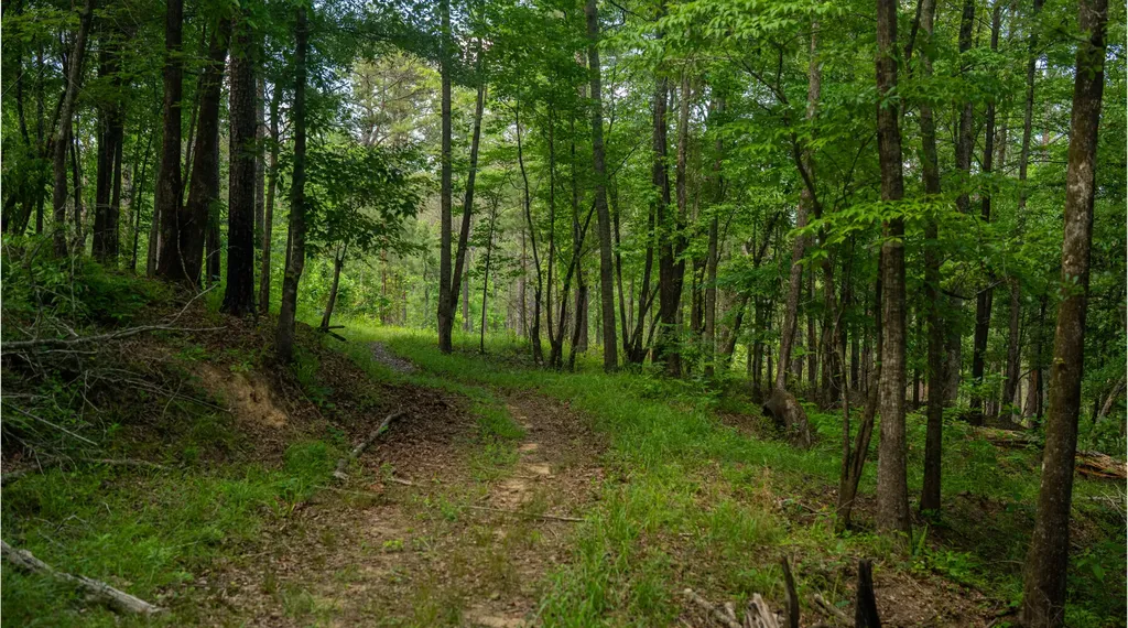 8830 County Road 57 Abbeville AL 36310