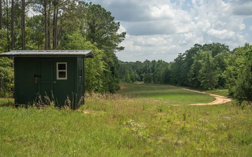 8830 County Road 57 Abbeville AL 36310