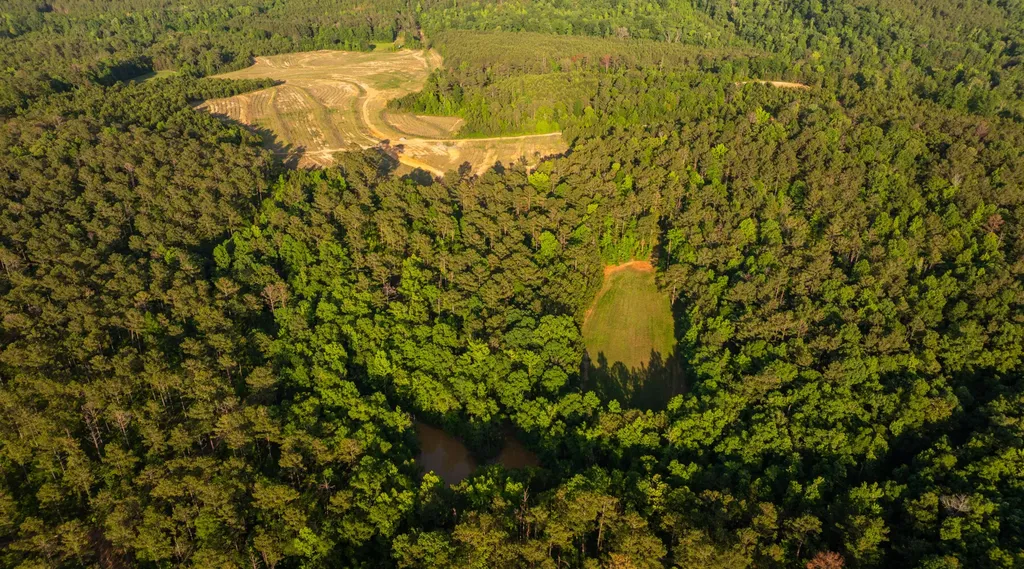 8830 County Road 57 Abbeville AL 36310