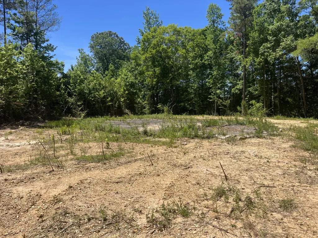 0 County Road 42 Hamilton AL 35570